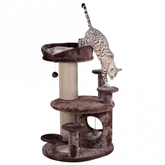 Trixie-Senioren-Kratzbaum-Emil-braun Trixie Senioren Kratzbaum Emil braun