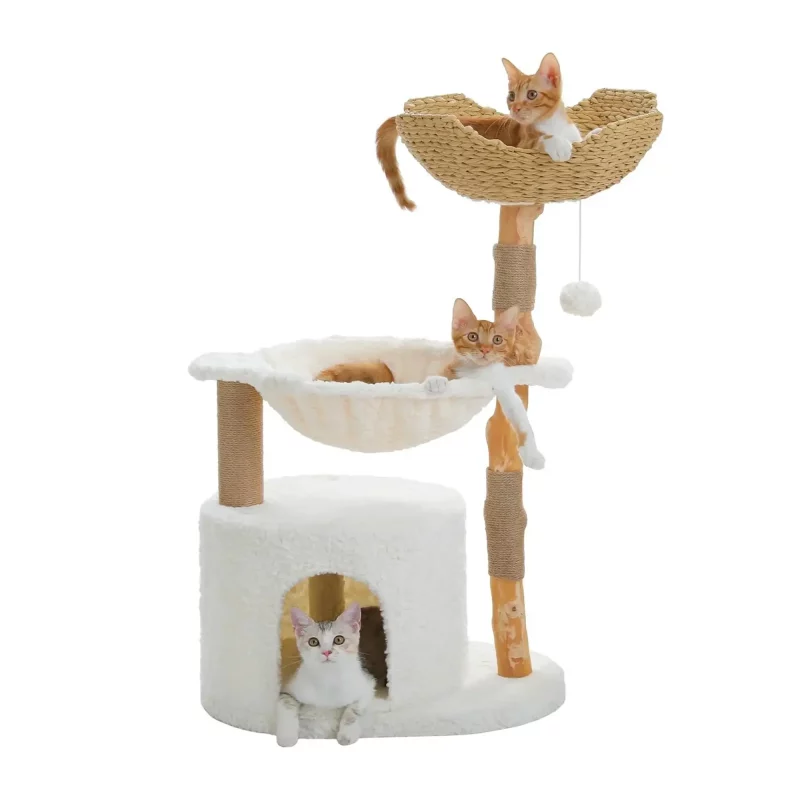 Katzen-KratzbaumKavaly_1 katzen_kratzbaum_tropisch